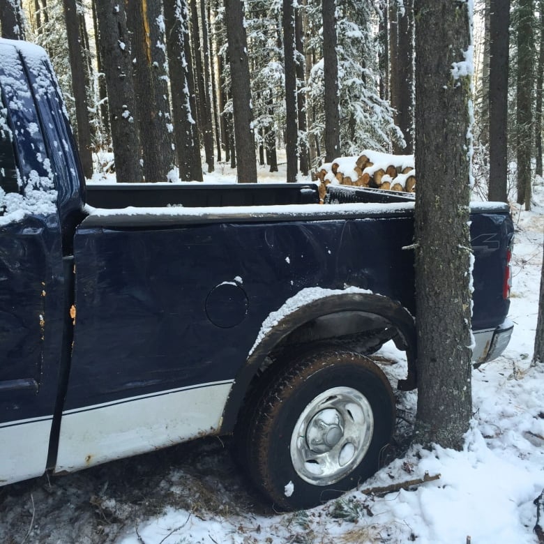 A truck is in the snow wedged beside the trunk of a lodgepole pine.