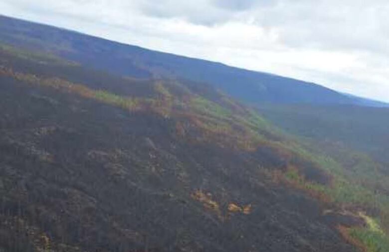 An aerial photo of the aftermath of a forest fire. 