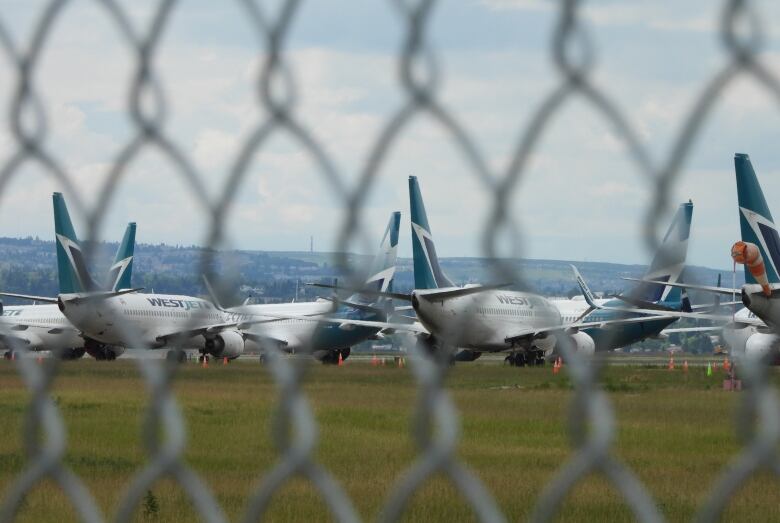 Dozens of aircraft are parked at the WestJet hangar behind a chain link fence.