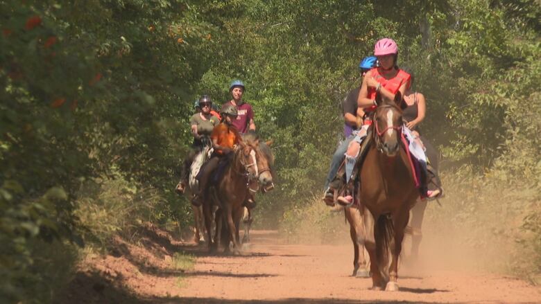 Horse riders on the Confederation Trail. 