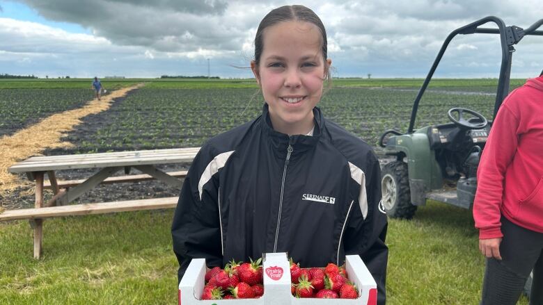 A girl holds a basket of strawberries picked fresh from a field.