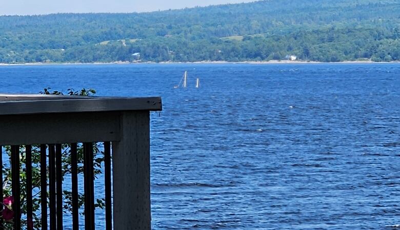 Two light-coloured poles stick up out of the blue water. 