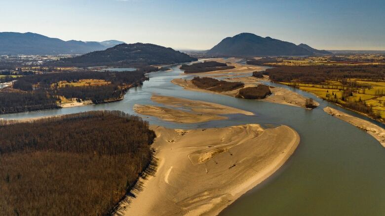 An island in the river