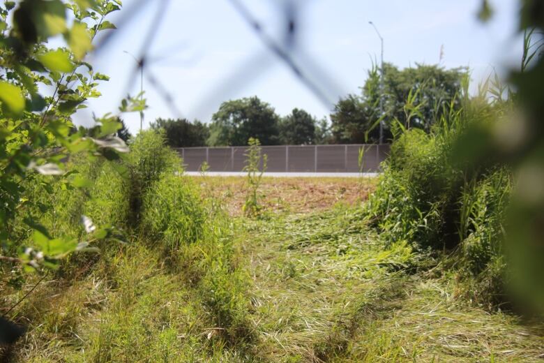 A shot of a field taken through a fence.