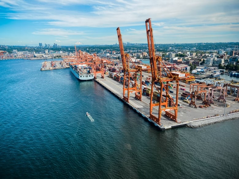 Large cranes and stacks of cargo are seen at a port.