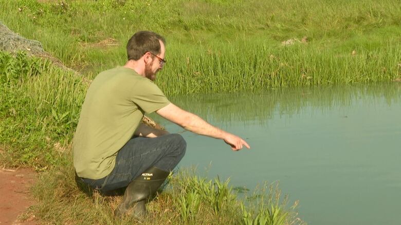 A man kneels down near the shore of a large estuary and point at the milky green water.  