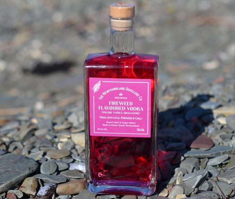 Glass bottle with pink liquid inside standing on rocky ground. 