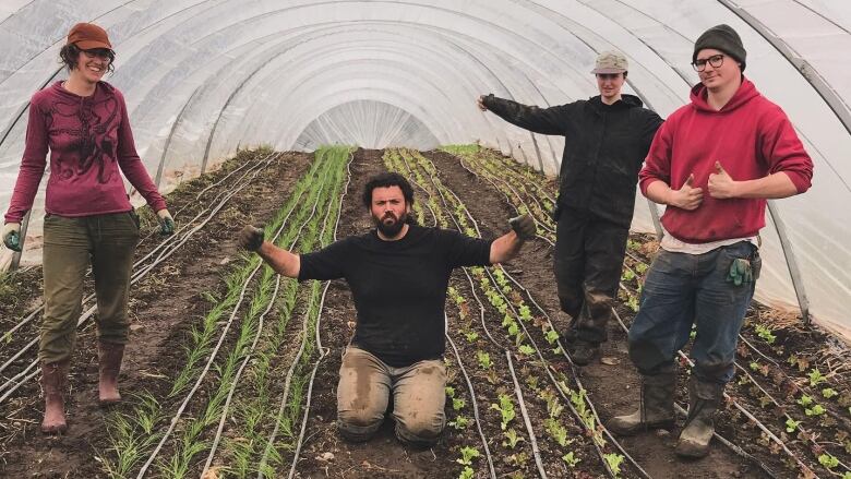 Four people posing in a greenhouse.