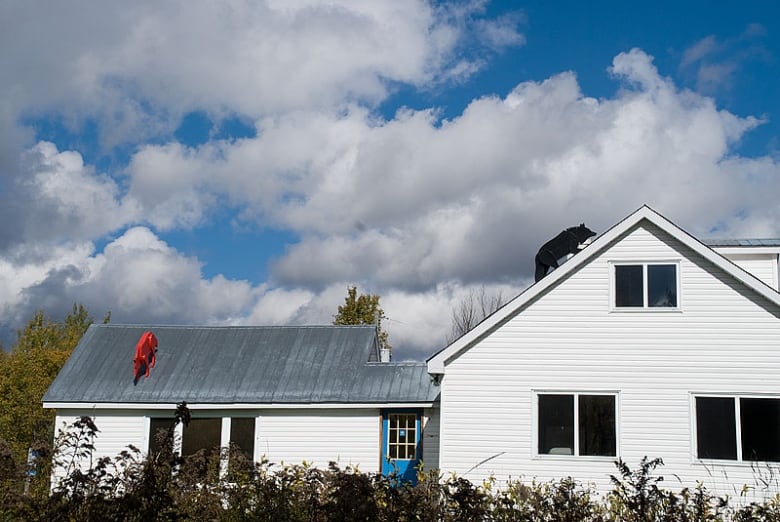 Photo of a white house at daytime. sculptures of two life-sized wolves, one red and one black, are installed on the roof.