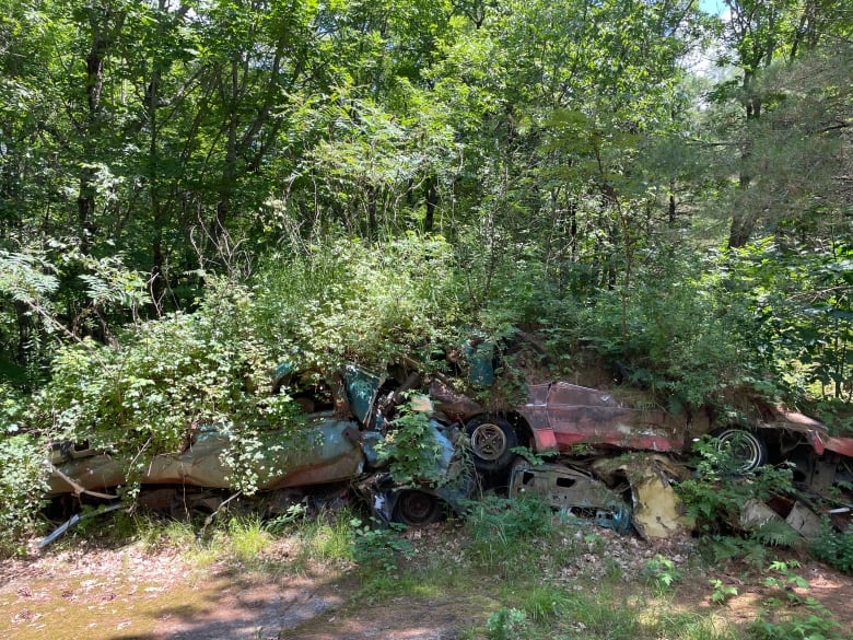 A mound of automotive scraps in the curved shape of a rock formation. Trees and grass have consumed it almost entirely.