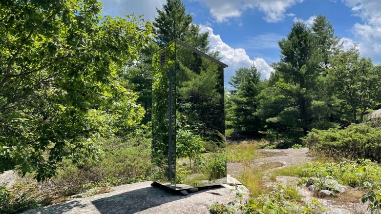 Photo of a mirrored outhouse on a rock surrounded by trees.