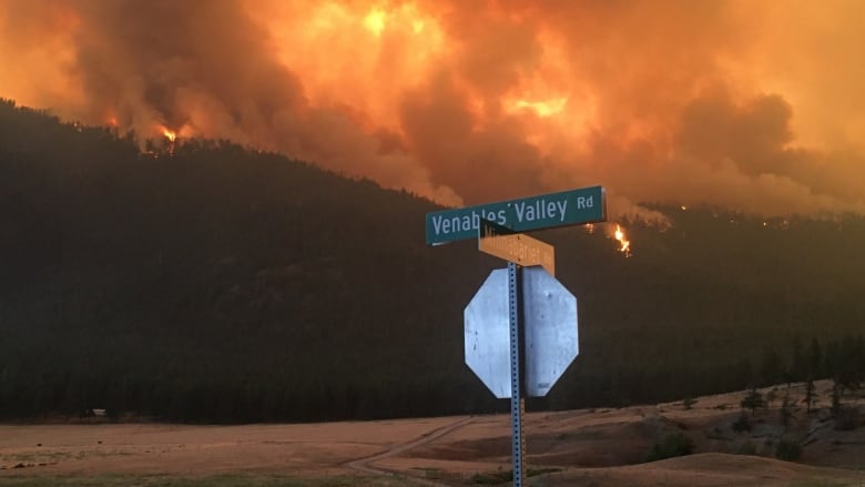 A road sign that says 'Venables Valley Rd' with flames in the hills in the background.