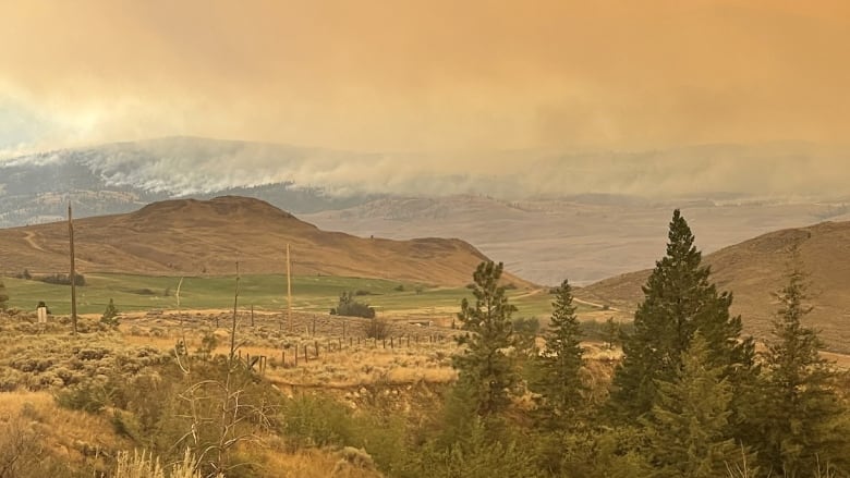 A smoky sky over hills and shrubs