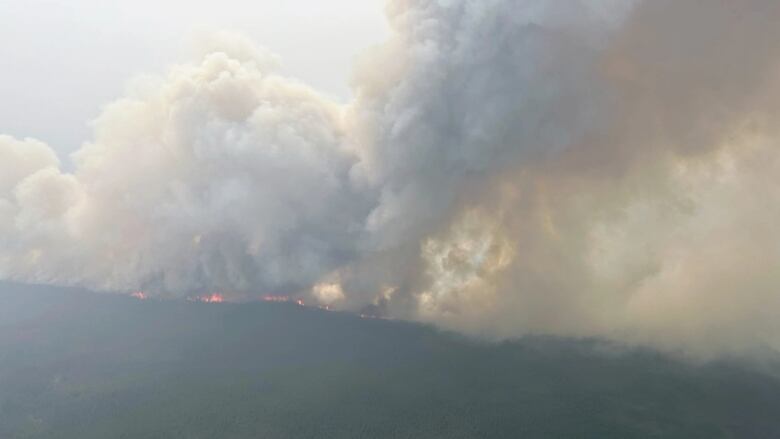 Large wildfire, producing great amount of smoke. Picture taken from the air. 