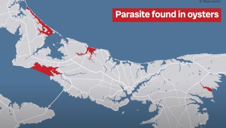 This map shows the zones on P.E.I., in red, where the presence of the MSX pathogen in oysters has been detected.