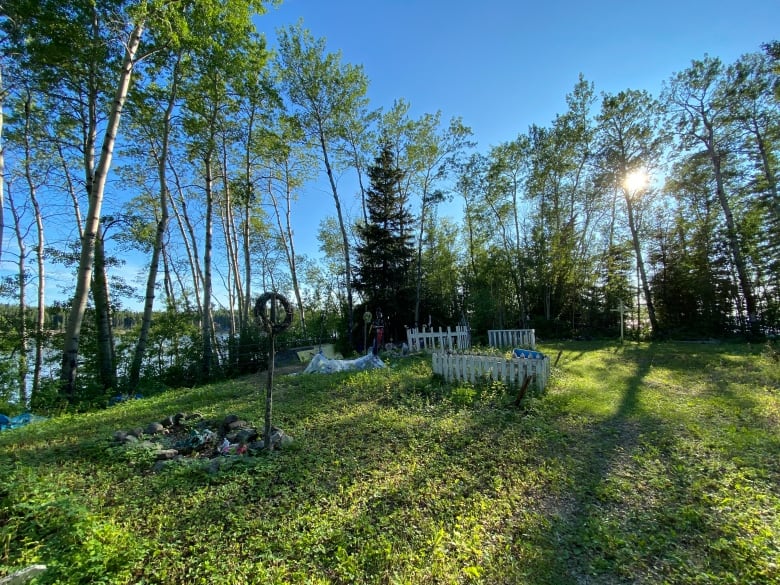 A graveyard with grass and trees and the sun overlooking it.