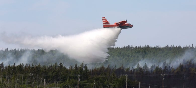 An airplane drops water on a burning forest.