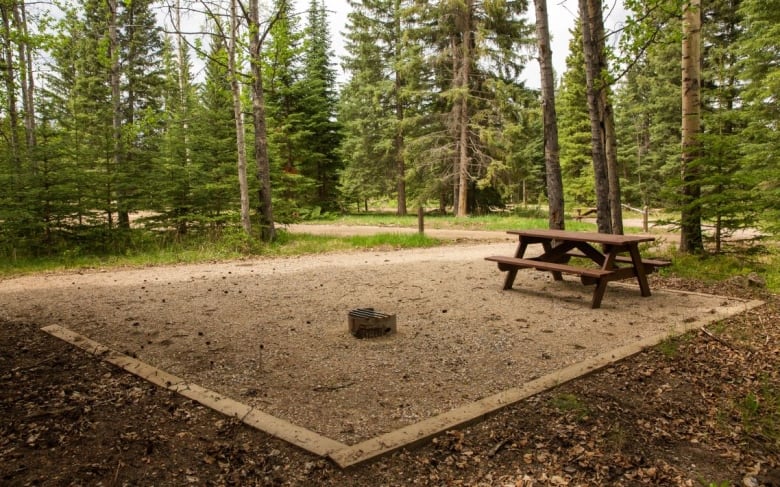 A campsite consisting of a square patch of gravel with a fire pit and picnic table, surrounded by tall coniferous trees.