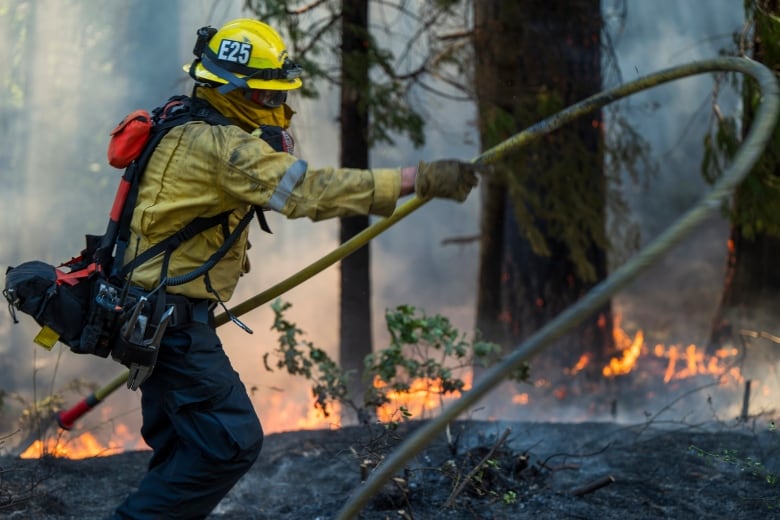 A firefighter wearing a helmet and protective clothing is shown wielding a hose in a forested area.