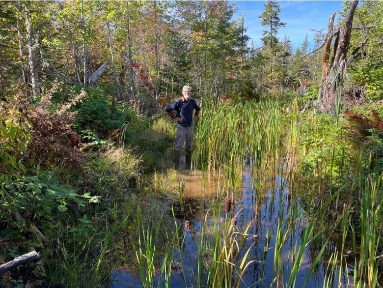 A man stands in an area covered with water and vegetation like bullrushes and small trees, with larger trees in the background.