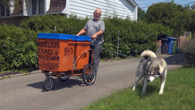 man and dog