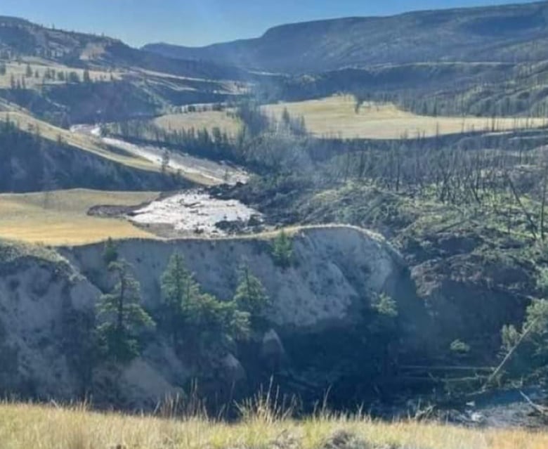 A photograph of the Chilcotin River shows trees down and high water levels. 