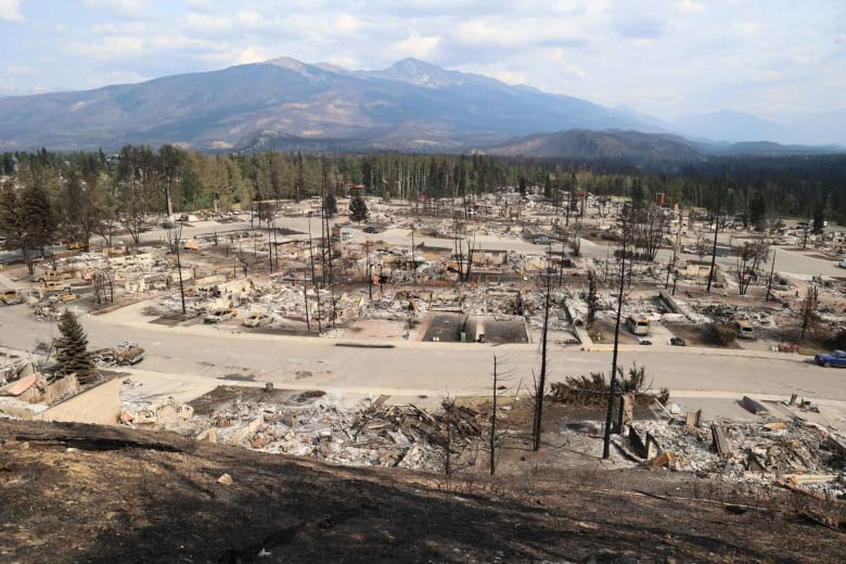 The ruins of houses in a suburban area, and charred trees line the foreground. A mountain landscape and trees line the background. 