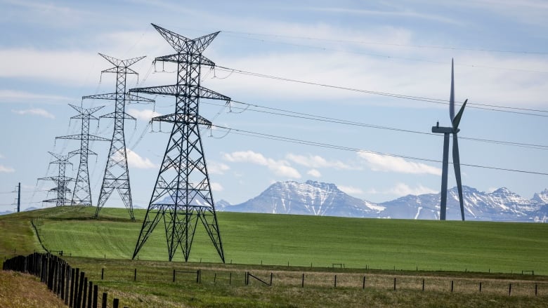 A green landscape with a wooden fence, power lines and a wind turbine. Blue skies and mountains can be seen in the distance.