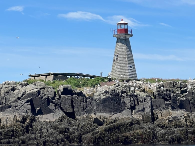 A grey lighthouse with a red top sits on a rocky Island.