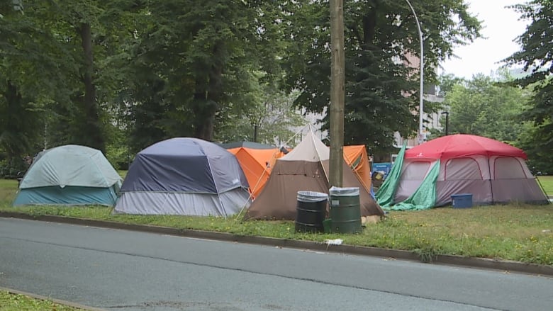 tents on grass near a roadway