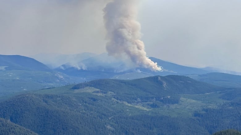 A large plume of smoke over some forest