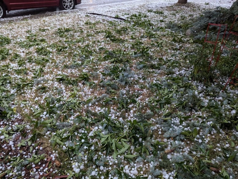 a lawn is pictured covered in hail and broken branches.