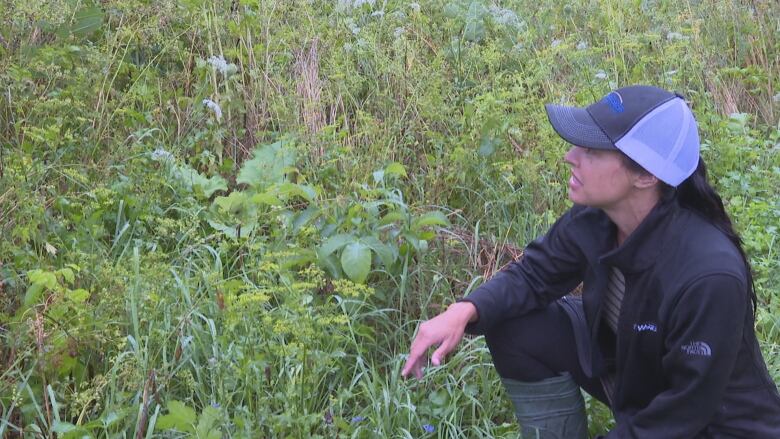 a woman in a baseball cap crouches next to a stand of yellow flowers in a fielded area