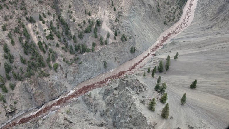 Aerial photo of a river in a steep-sided arid valley filled with fallen trees and other debris. 