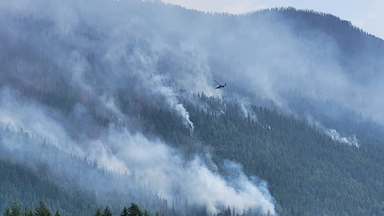 A helicopter flies above a forested hill, from which smoke is rising