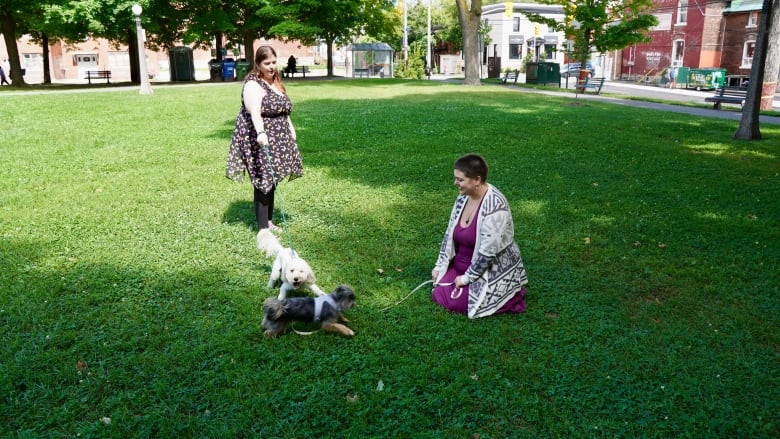 Two women play with their dogs in a park. 