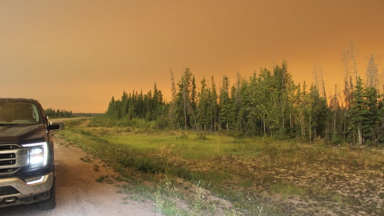 Orange smoky skies over a green forest 