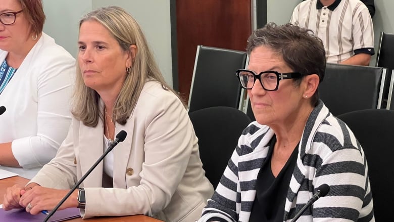 Two women in blazers seated at a table in front of microphones.