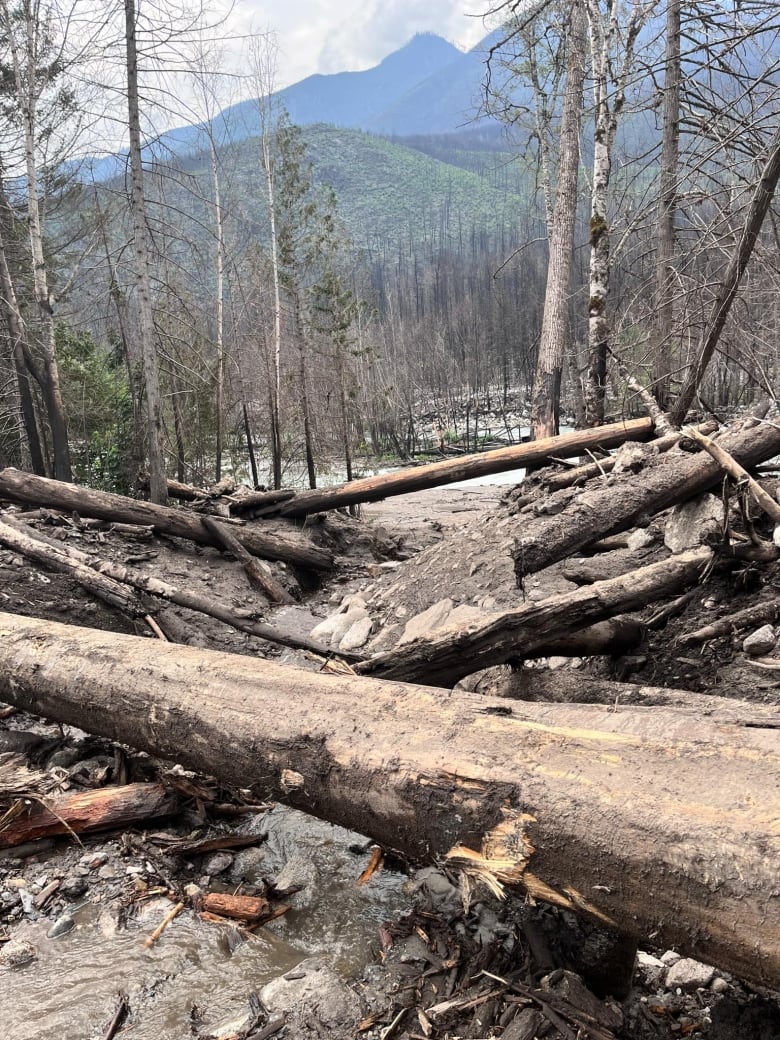 Trees and debris litter a river, with hills in the background.