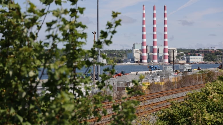 Greenery in the foreground frames three smokestacks at a power generating station.