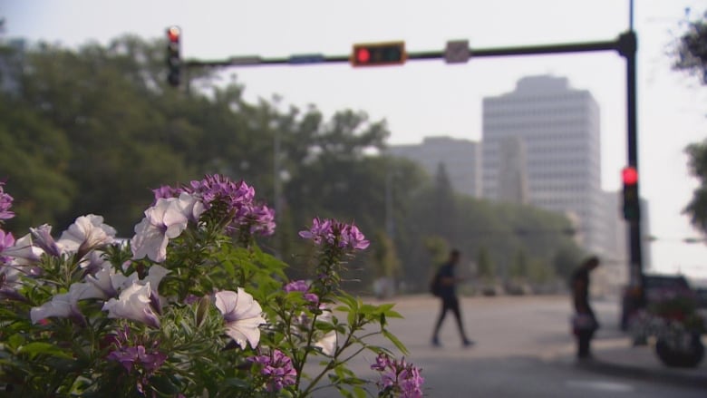 Smoky conditions in Regina