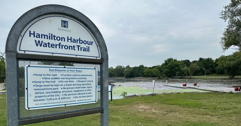 A city sign is on the left and green algae is seen in the water to the right