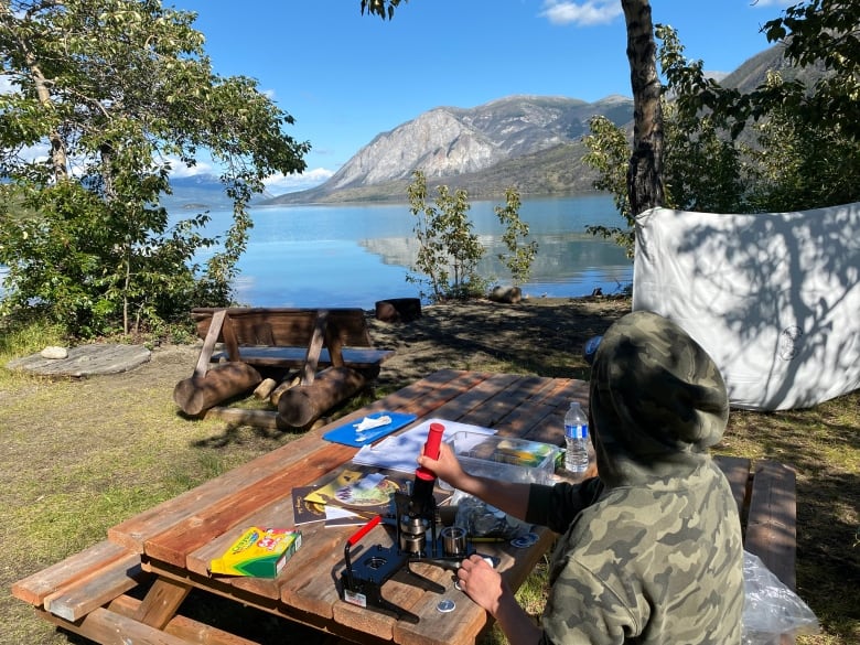 A person looking out onto the water with a mountain in the background