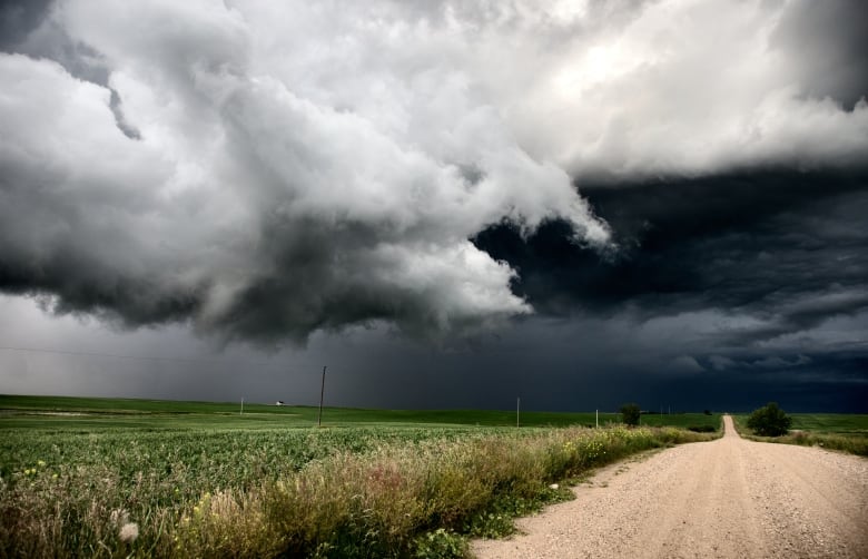 Dark rain clouds approach over top of an open field.