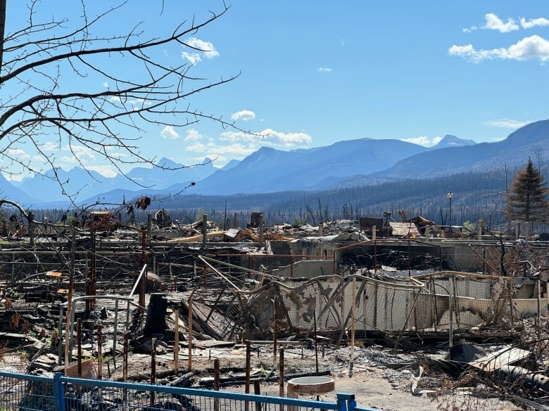 A neighbourhood is seen burned to the ground, with mountains in the background