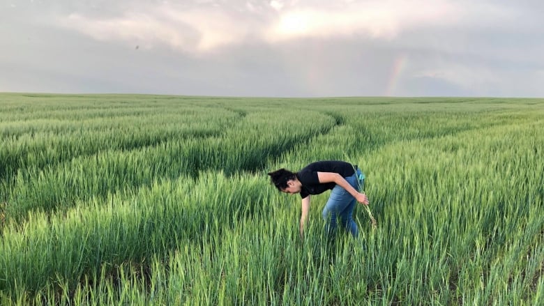 A woman bends down in a field. 