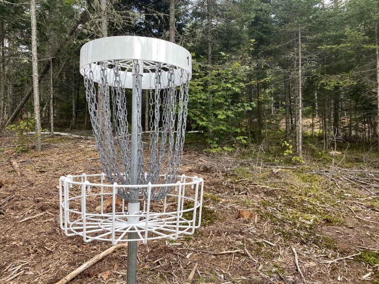 A disc golf basket in the woods.