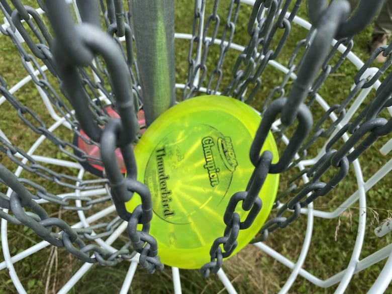 A neon green disc sits inside the chains of a disc golf basket.