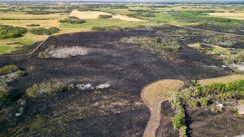 An aerial photograph shows a large expanse of burned land. 