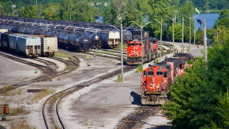 CN trains and cars sit on tracks in a rail yard seen from above.